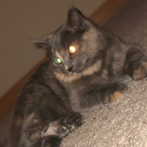 Meet your Posher, Kathleen